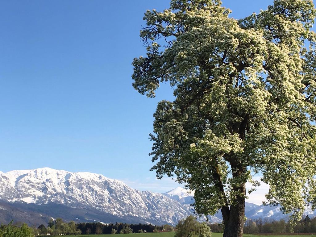 Weslhof Villa Attersee Esterno foto